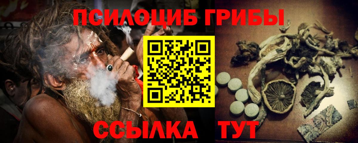 Галлюциногенные грибы Psilocybine cubensis  купить наркоту  Тосно  Вход с VPN  Галлюциногенные грибы Psilocybine cubensis 